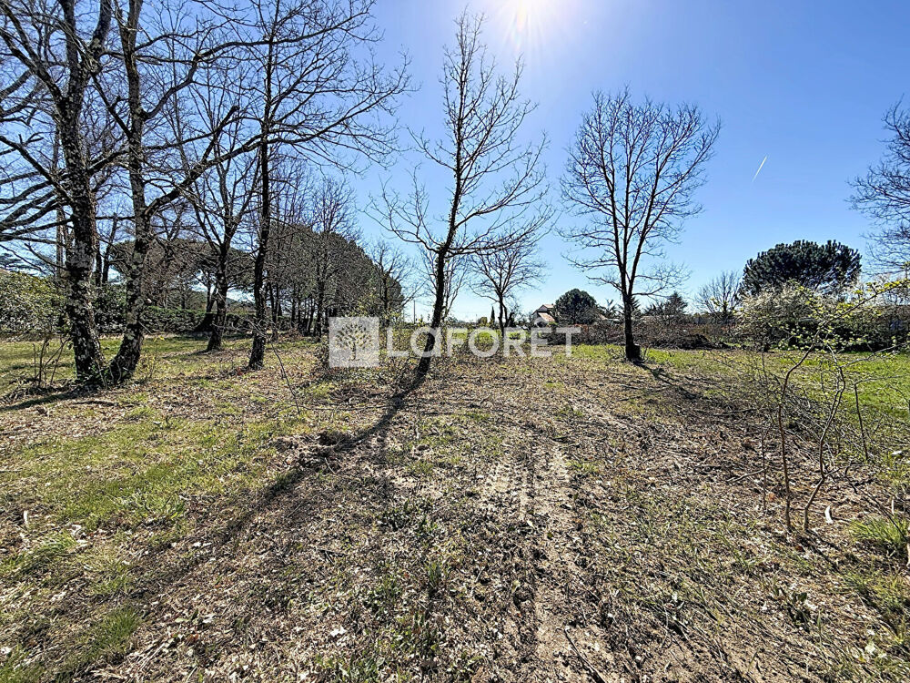 Vente Terrain Terrain constructible Villematier 1600 m2 Villematier
