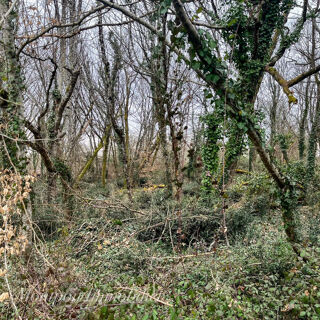  Terrain � vendre 5914 m�