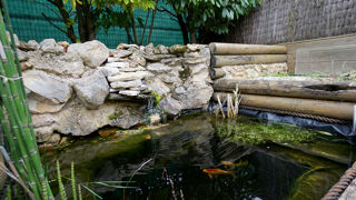  Maison � vendre 4 pi�ces 53 m�