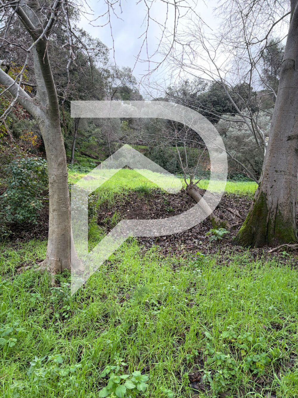 Vente Terrain Terrain 900m2 constructible Marseille 13013 Marseille 13