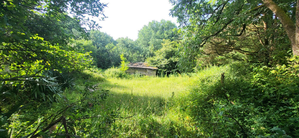 Vente Maison Maison  4 pièce(s) 93 m2 Vigneux de bretagne