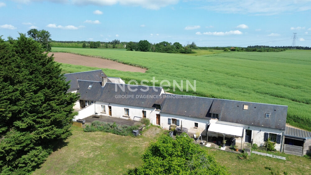 Vente Maison Jolie propriété à vendre avec grand gîte et salles de réception, terrain de 2 hectares à Beaumont-Pied-de-Boeuf (72500) Beaumont pied de boeuf