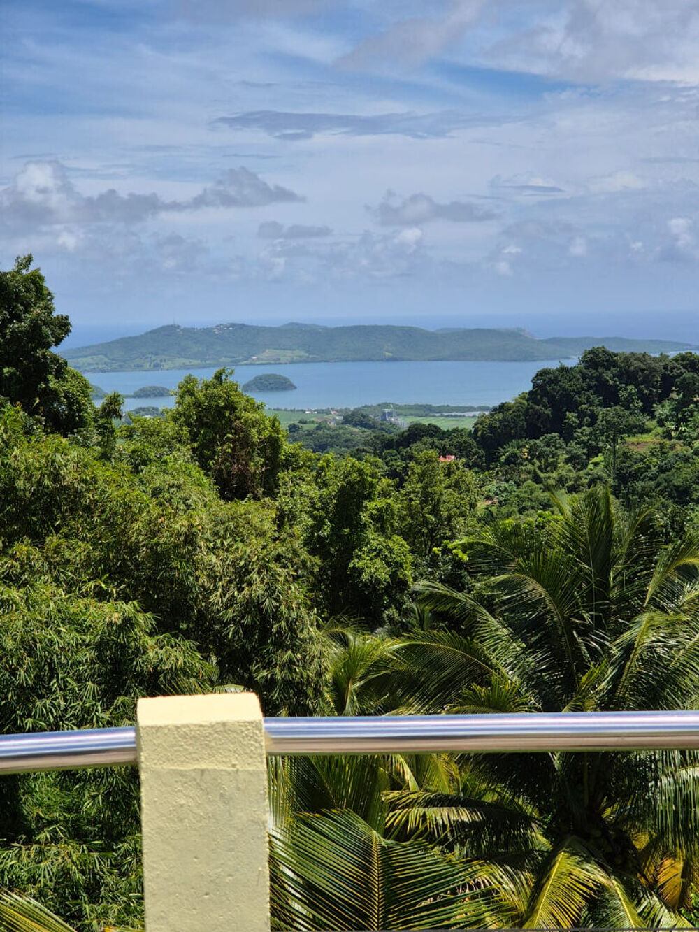  vendre  Villa Le Robert (97231)