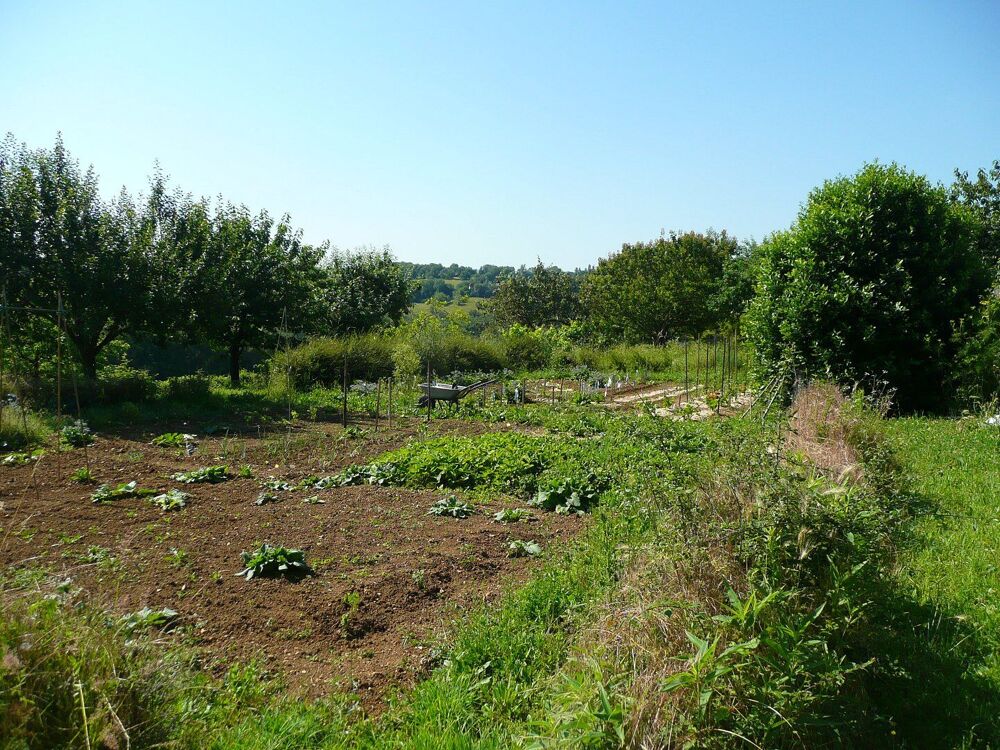 � vendre  Villa Causse-et-Di�ge (12700)