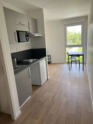  Appartement à louer 1 pièce 30 m²