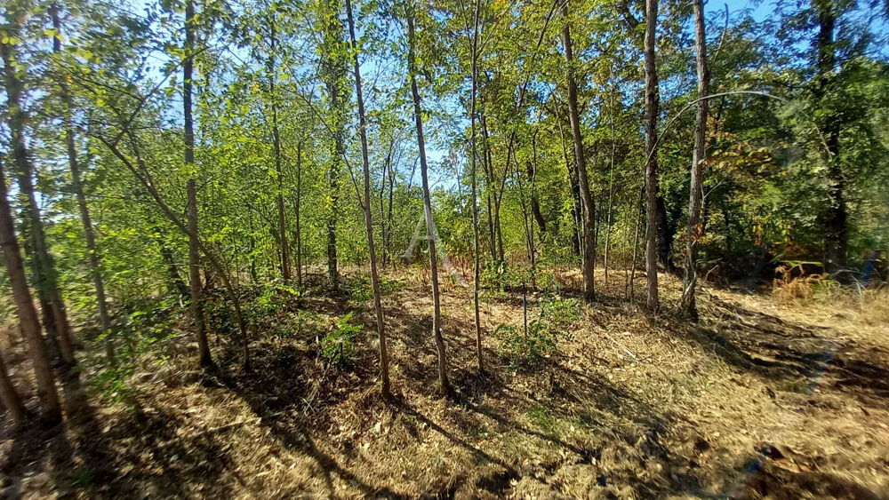 Vente Terrain TERRAIN CONSTRUCTIBLE DE 3 824 M² À SAINTE-FOY Sainte foy