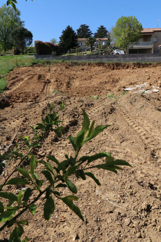  Terrain � vendre 742 m�