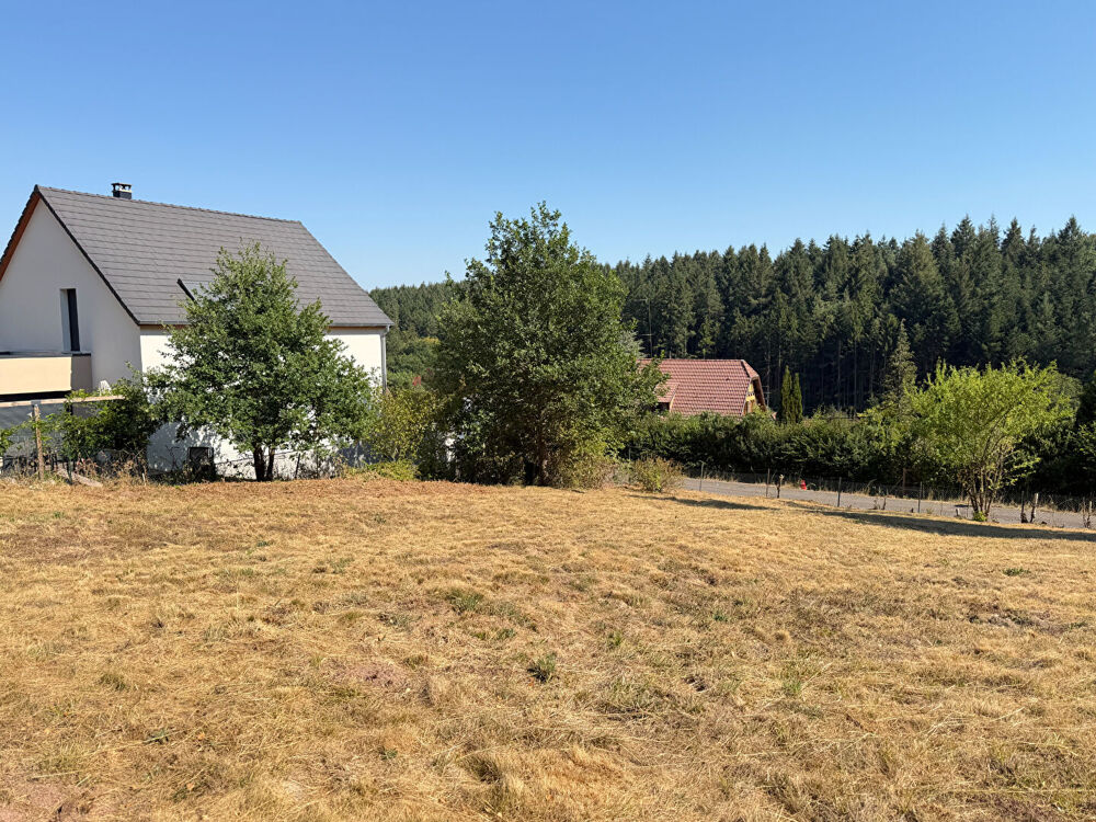 Vente Terrain Terrain constructible OBERHASLACH 7 ares 35 Oberhaslach
