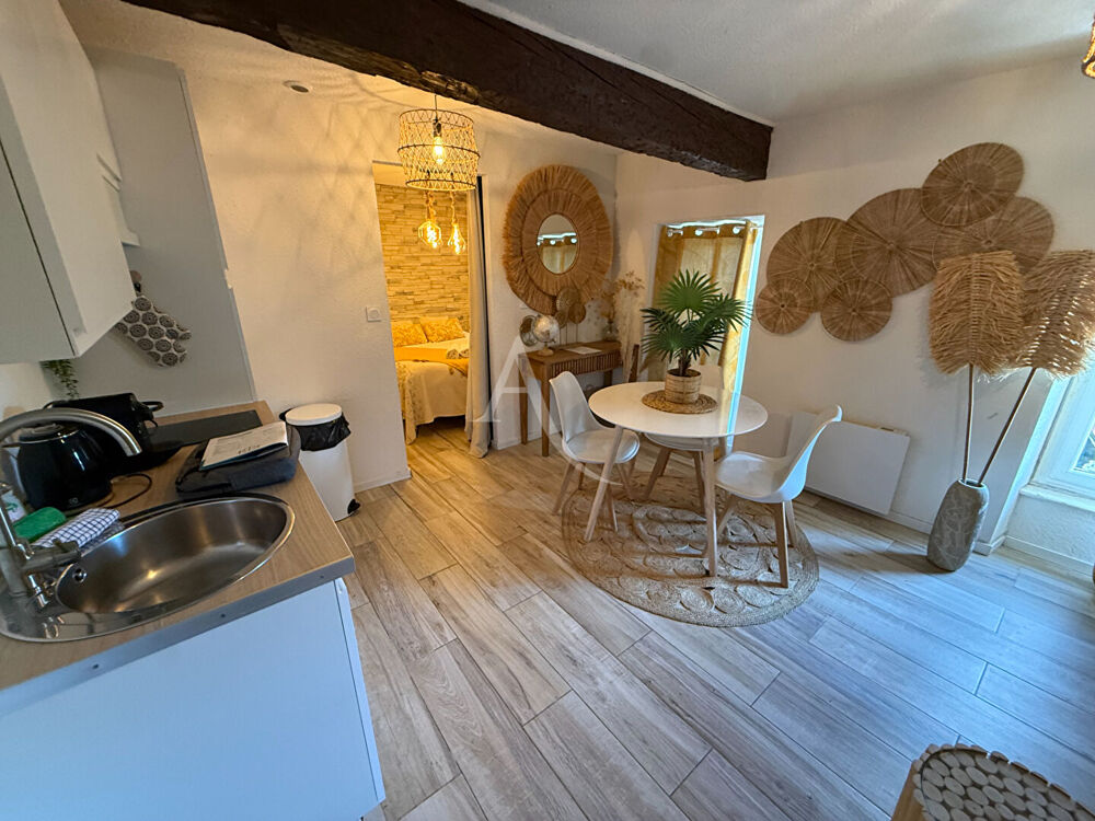 Vente Immeuble Immeuble Carcassonne avec tr�s belle activit�e  saisonni�re  aux pieds de la cit� m�di�vale de la cit� de Carcassonne Carcassonne