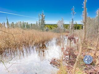  Terrain � vendre 6248 m�