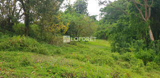  Terrain  vendre 467 m
