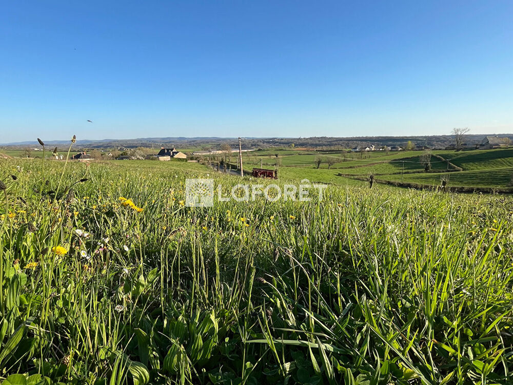 Vente Terrain PROCHE BOZOULS / SAINT-JULIEN DE RODELLE Rodelle