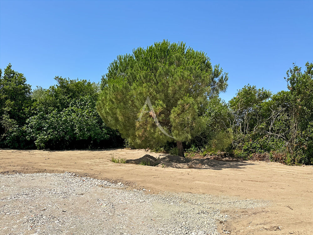 Vente Terrain Terrain Saint Jean De Monts Saint jean de monts