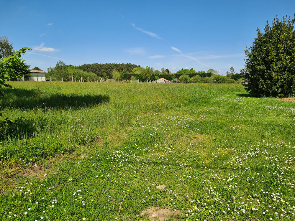 Vente Terrain Terrain Montpon Menesterol 1582 m2 Montpon menesterol