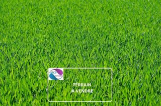  Terrain � vendre 524 m�