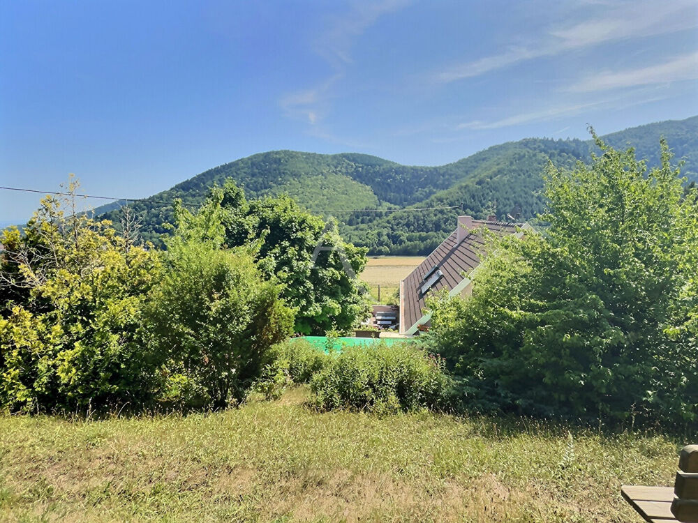à vendre  Maison Lautenbach (68610)