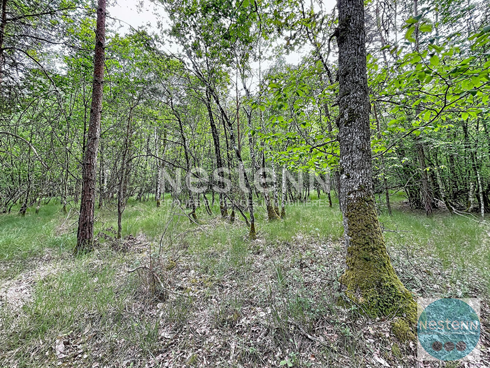 Vente Terrain RARE !! - 3 parcelles de bois en Sologne - Fontaine en Sologne - 119 780 m² Fontaines en sologne