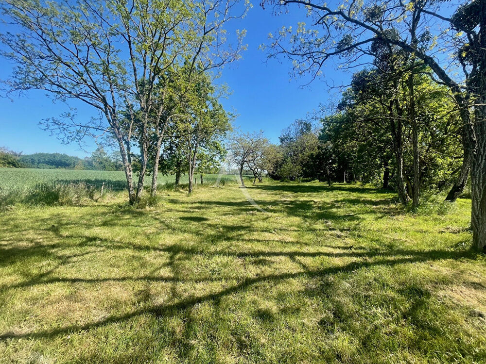 Maison Mareau Aux Prés 6 pièces 123m² sur terrain 2200m²