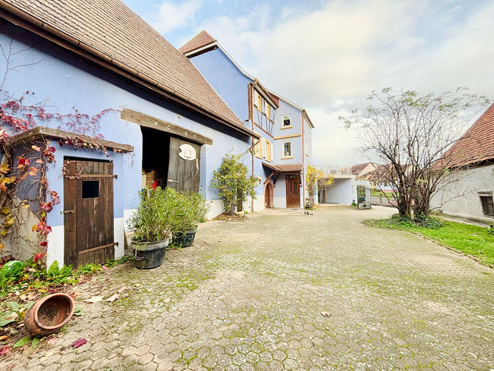 � vendre  Maison Hattstatt (68420)