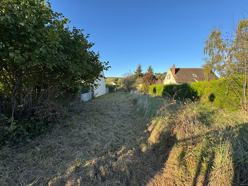 Vente Terrain TERRAIN A BATIR 500 m² Vayres sur essonne