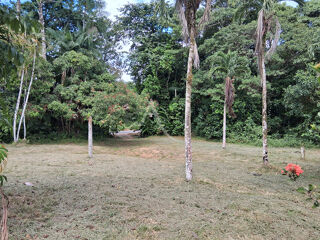 Vente Immeuble Immeuble R+1 avec terrain - Stoupan (Matoury) Matoury