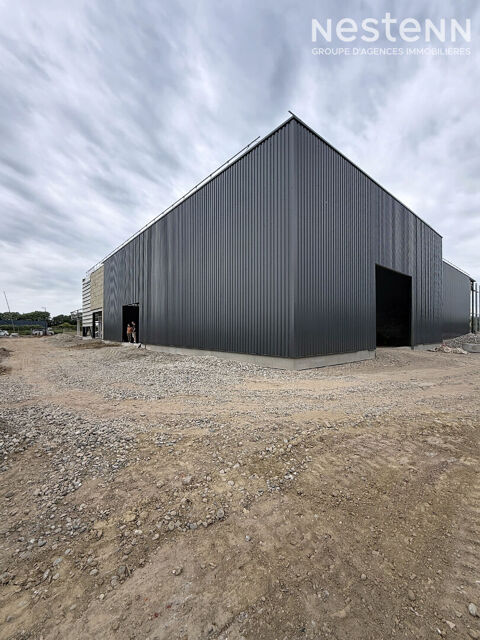 Local industriel 480 m&sup2; 9 m sous plafond 4080 67230 Benfeld