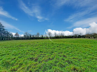  Terrain à vendre 4790 m²