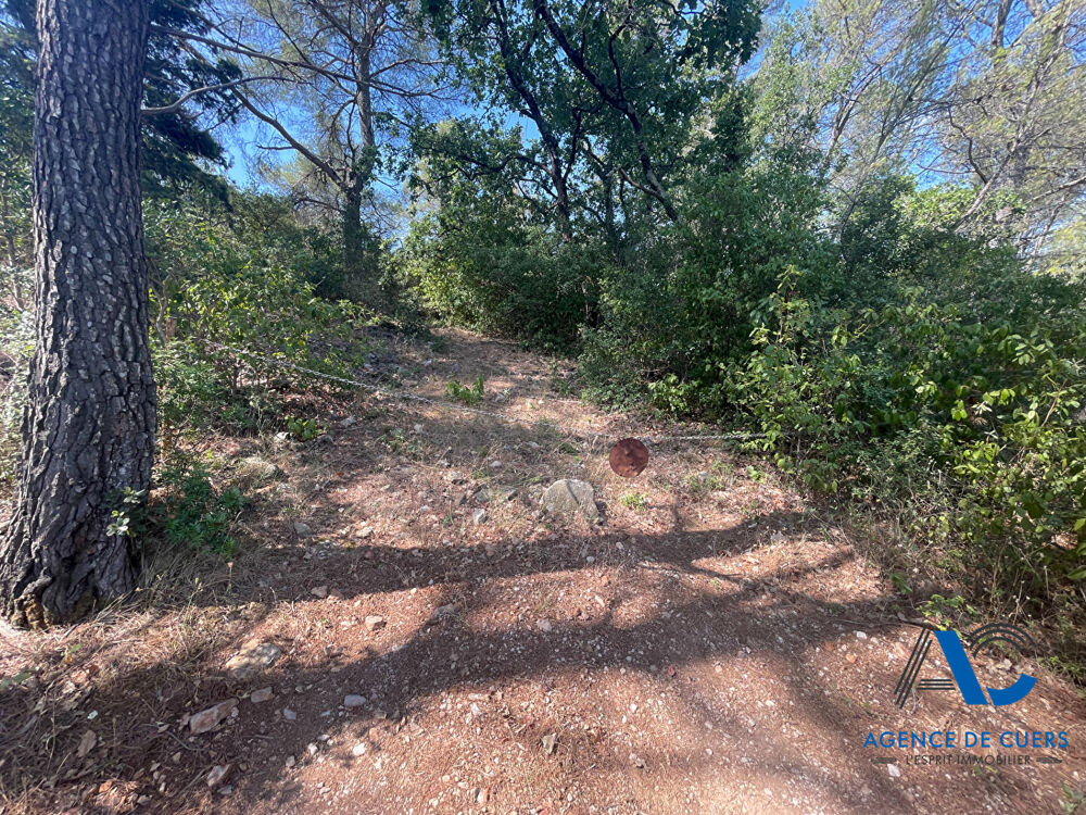 Vente Terrain Terrain NON CONSTRUCTIBLE Cuers Cuers