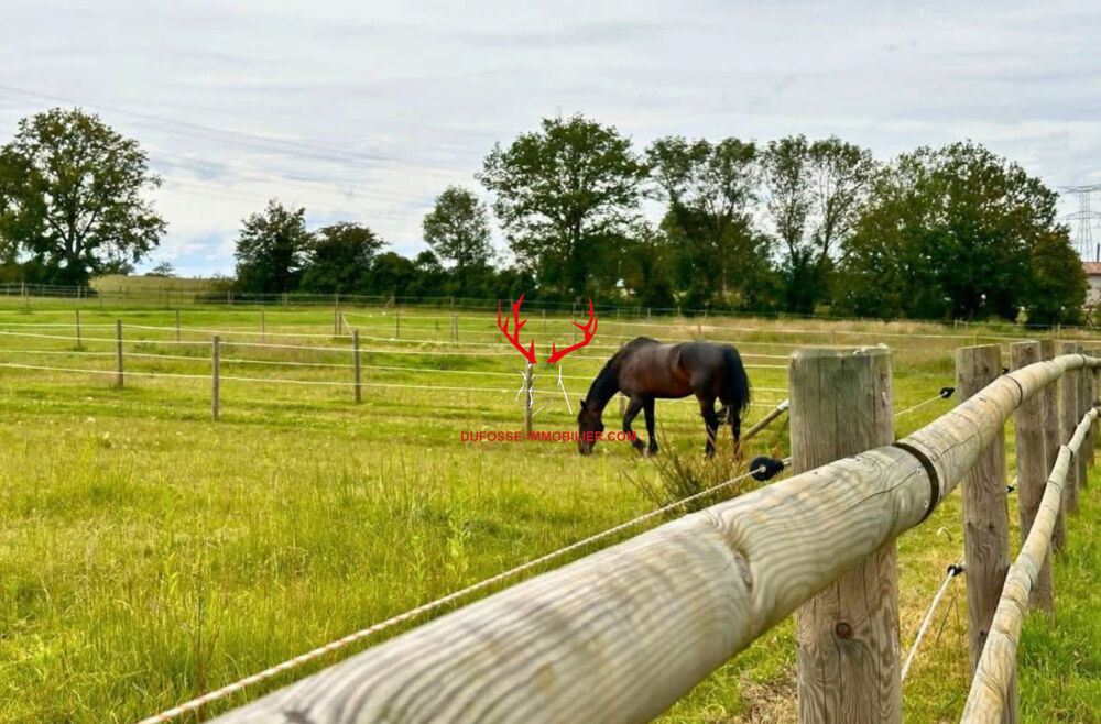 Propriété équestre de 4 hectares
