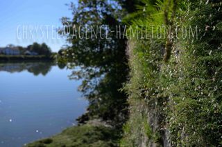  Maison � vendre 15 + pi�ces 550 m�