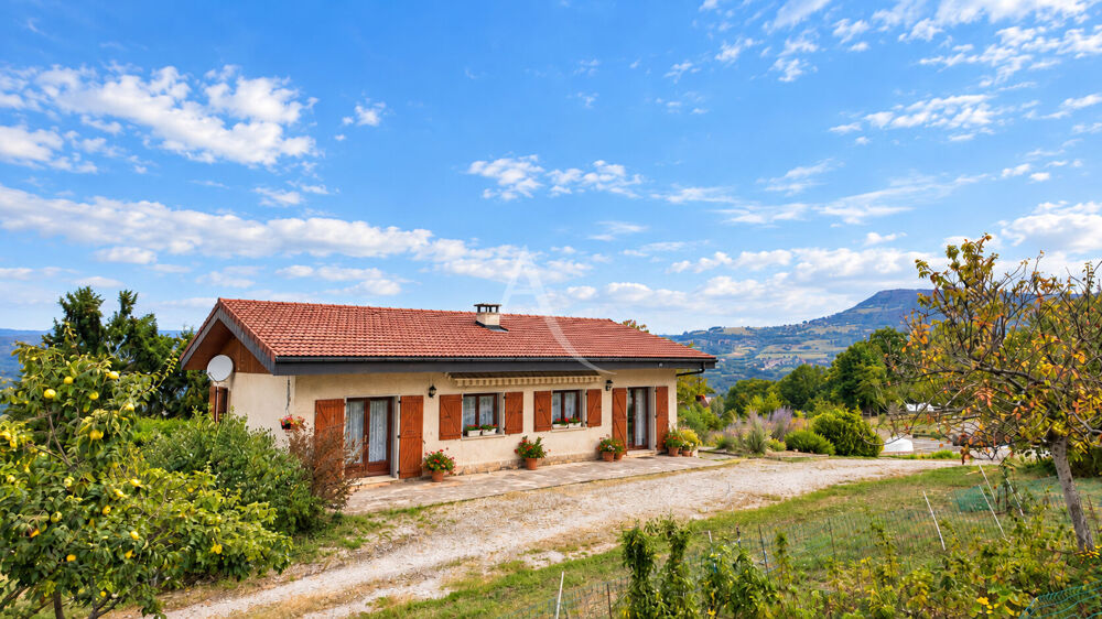 Vente Maison Maison individuelle à rénover à Cercier ? 3 chambres, sous-sol complet et terrain de 1 180 m² Cercier