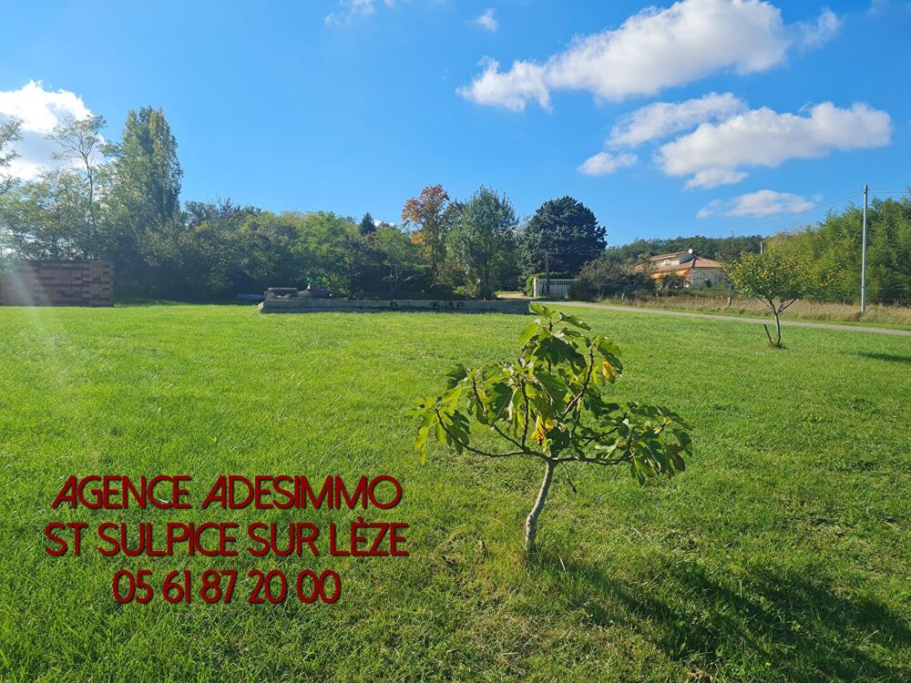 Vente Terrain TERRAIN DE 799M² SAINT SULPICE SUR LEZE St sulpice sur leze