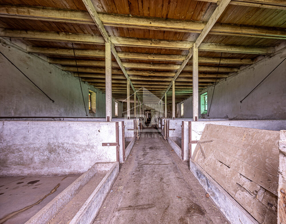Vente Maison FORGES (17) - LOT À RÉHABILITER - 4380 m² DE PARCELLE Forges