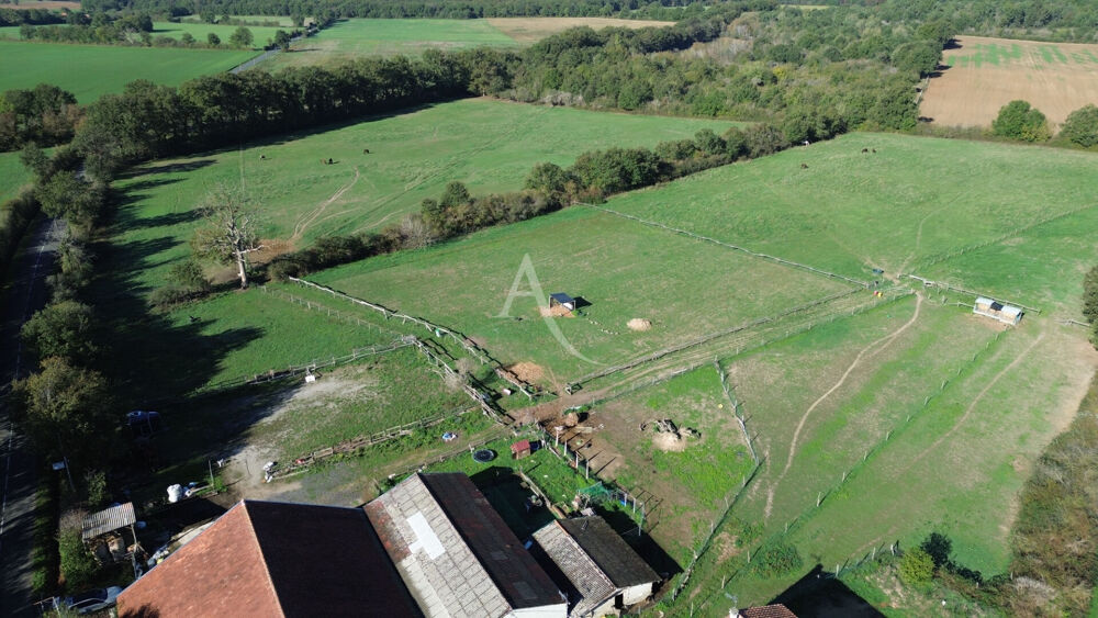 Vente Maison PROCHE GENCAY - DOMAINE AGRICOLE D'ENVIRON 7 HECTARES POUR CHEVAUX - MAISON 200M2 -  4 CHAMBRES Marnay