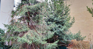  Maison � vendre 3 pi�ces 66 m�