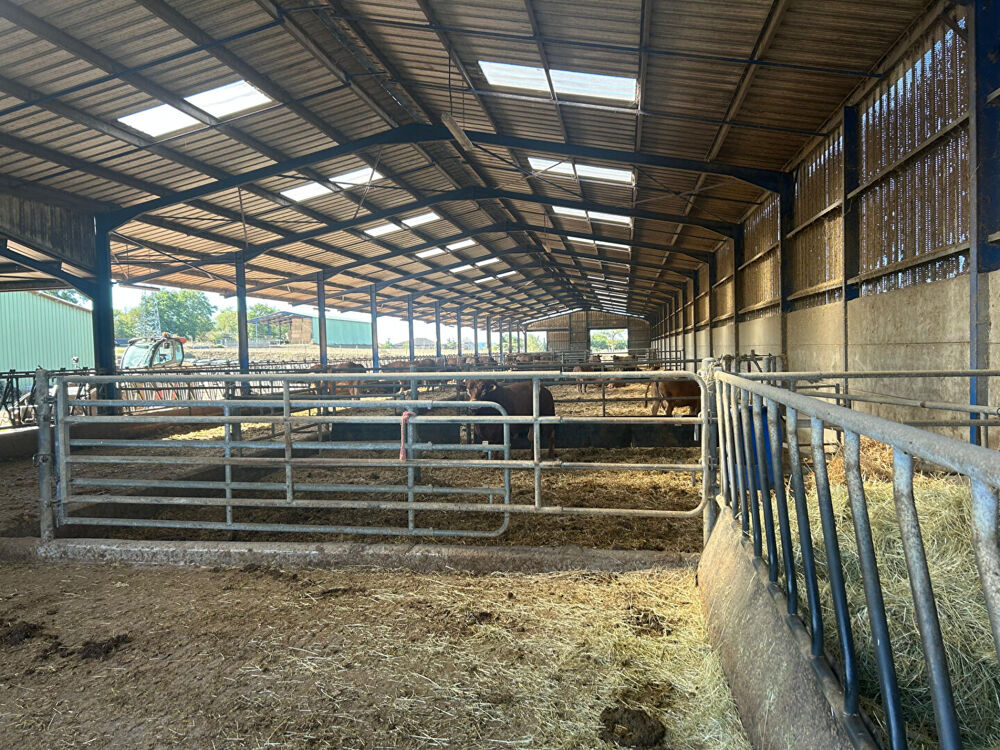 Vente Maison GRANDE STRUCTURE AGRICOLE AVEC IRRIGATION I 120 ha | 4 000 m² couverts | Agrandissement possible I Irrigation I Drainage | Exten Chabanais
