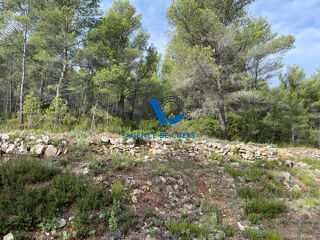  Terrain à vendre 30000 m²