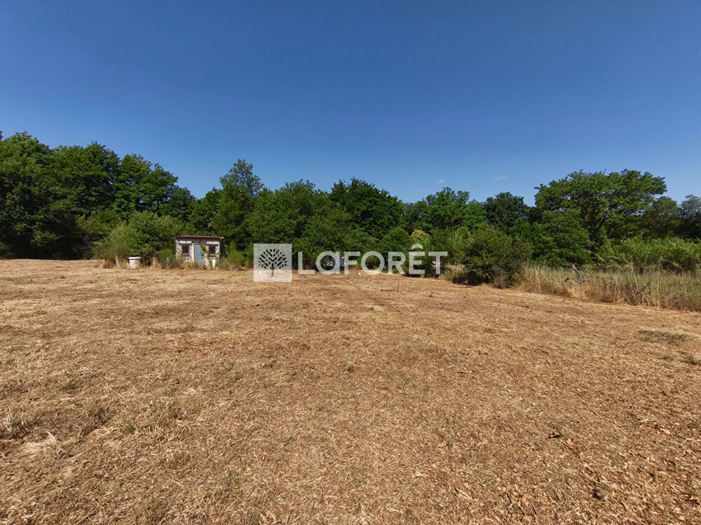Vente Terrain Terrain de loisirs non constructible avec cabanon Maureillas-Las-Illas Maureillas las illas