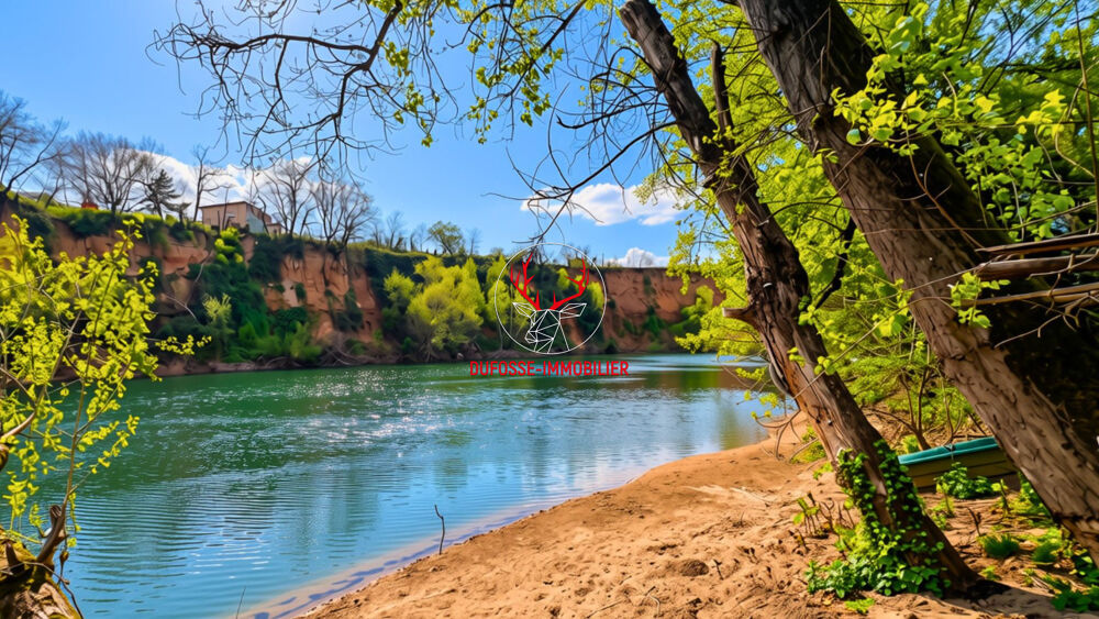 à vendre  Maison Albi (81000)