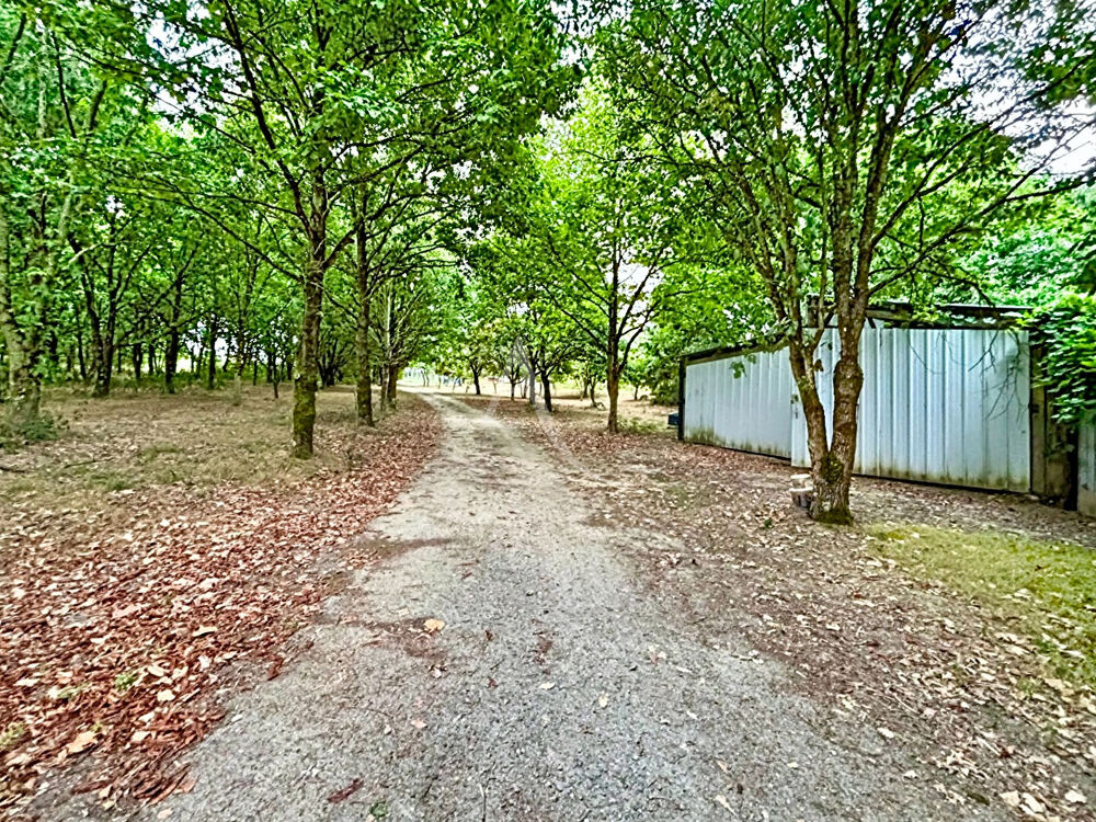 Vente Terrain Entre Angrie et Vern-d'Anjou, un véritable coin de nature sur plus de 4 hectares Angrie