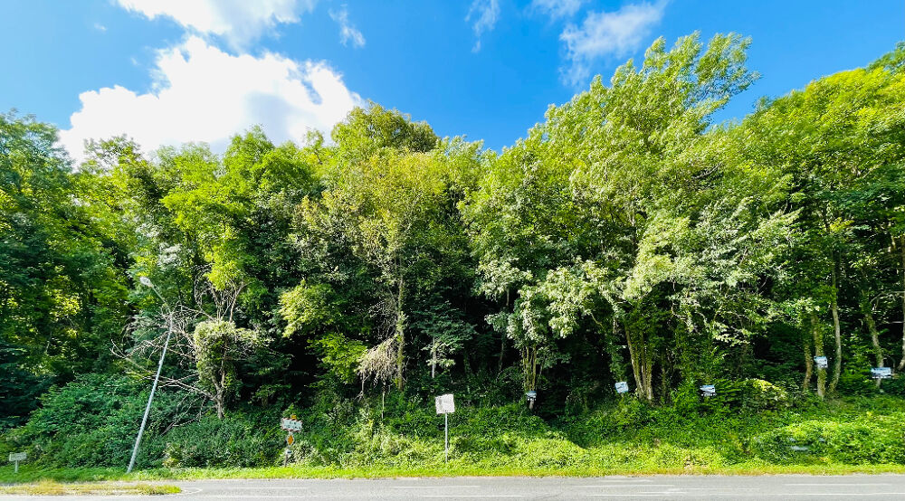 Vente Terrain SAINT JEAN LES DEUX JUMEAUX Saint jean les deux jumeaux