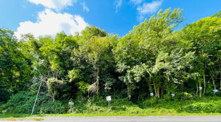  Terrain � vendre 1177 m�