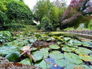  Villa � vendre 13 pi�ces 500 m�