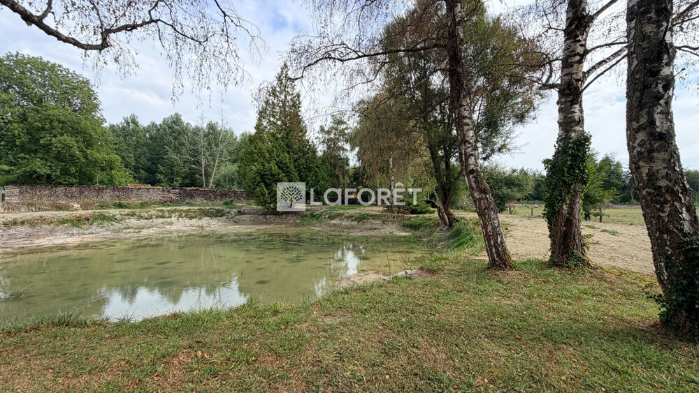 Vente Maison Maison avec plan d'eau Ville Sur Tourbe 7 pièces 174 m2 Ville sur tourbe