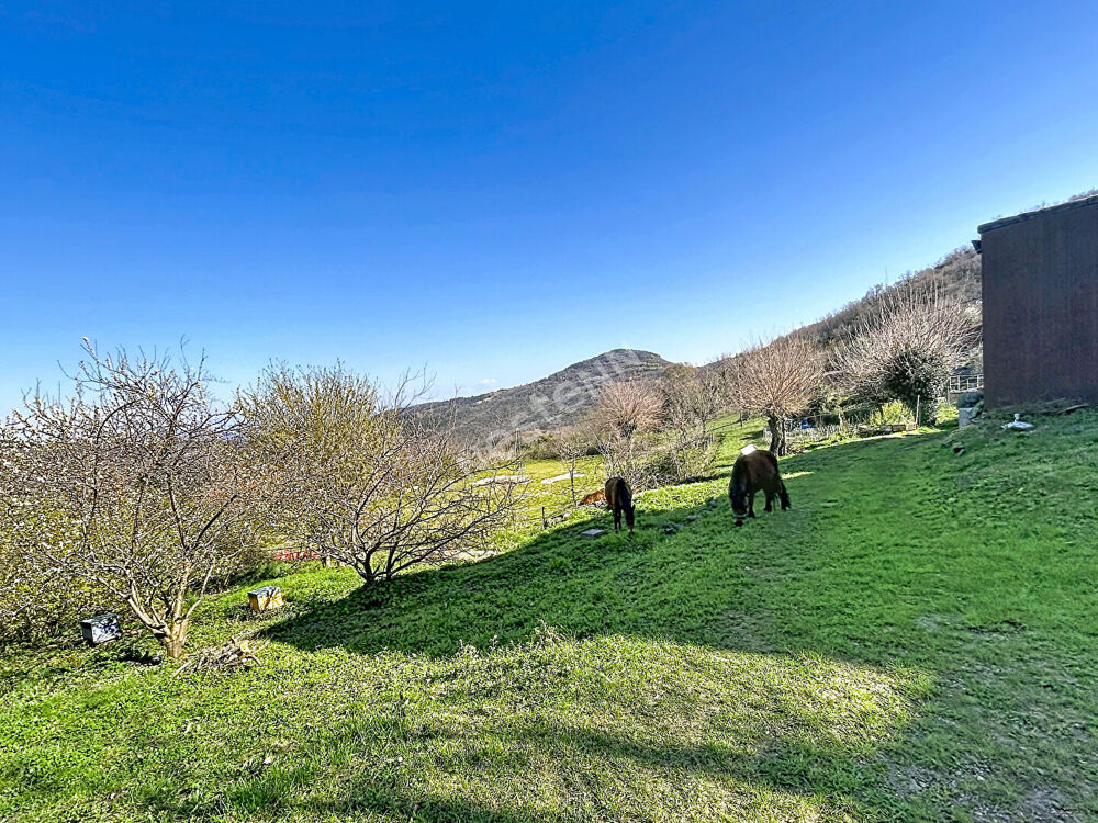 Ancien Haras - Maison en Pierre 196m² + gîtes + piscine