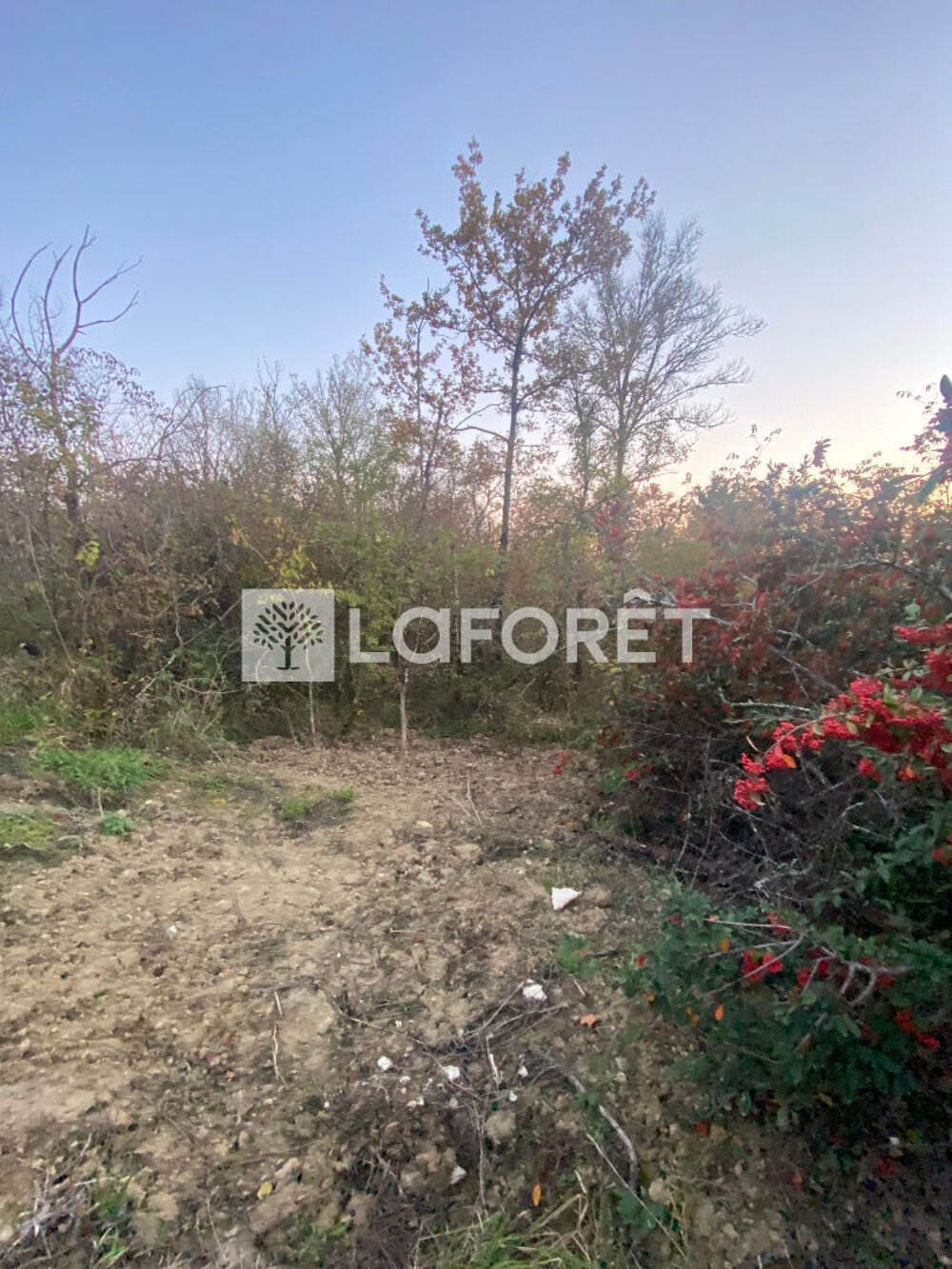 Vente Terrain Terrain non constructible,  1260 m² Villemur-sur-Tarn, Villemur sur tarn
