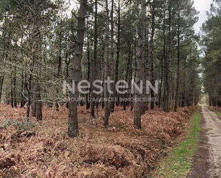  Terrain � vendre 40960 m�