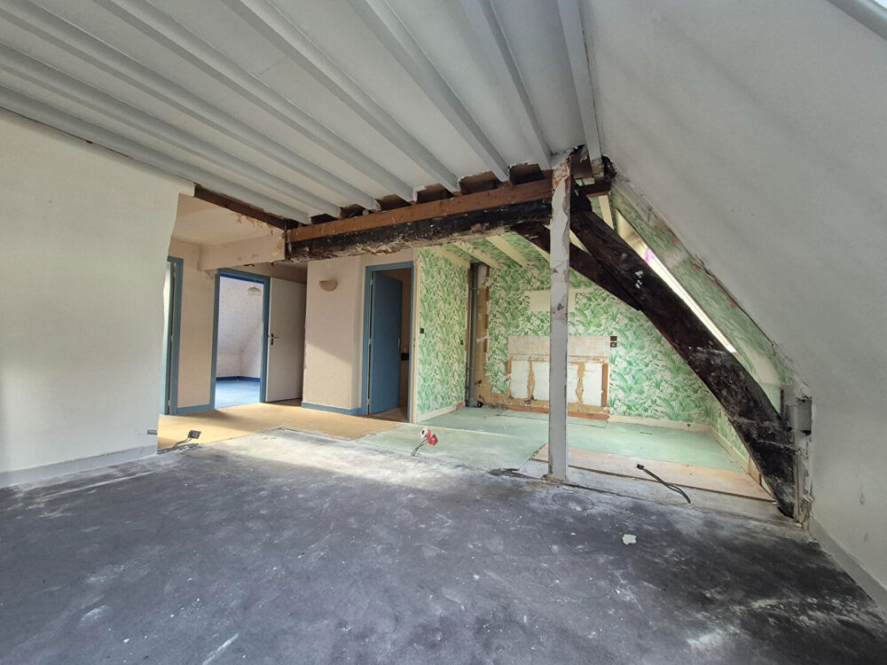 VIEUX LILLE - PLATEAU BRUT EN DUPLEX DE 66 M² LOI CARREZ (95M² AU SOL) - A AMENAGER