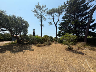  Terrain à vendre 294 m²