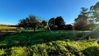  Terrain à vendre 3140 m²